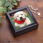 The Mail Order Shoppe Personalized Pet Products
