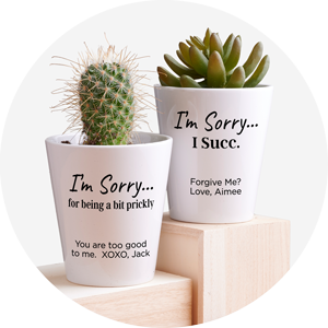 I’m Sorry  Apology Gifts