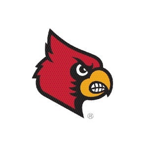 NCAA Louisville Cardinals Zipper Glitter Stainless Steel Tumbler - Owl  Fashion Shop