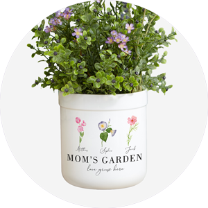 Outdoor Garden
