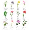 Birth Month Flowers