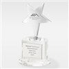 Corporate Engraved Crystal and Silver Star Professional Award  - 43012