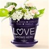 Purple Flower Pot