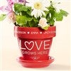 Red Flower Pot