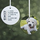 Definition of My Pet Personalized Pet Ornament - 15076