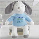 White Bunny with Blue Shirt