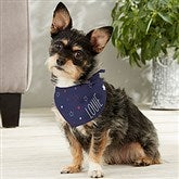 Small Dog Bandana