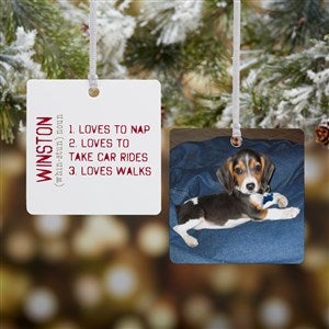 Definition of My Pet Personalized Square Photo Ornament - 15076-2M