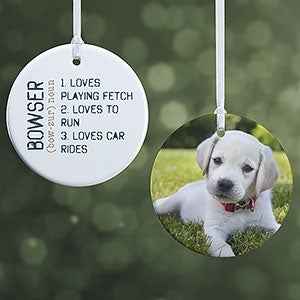 Definition of My Pet Photo Ornament - Glossy - 15076-2S