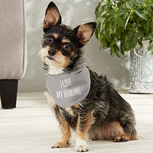 Customised dog bandanas – The Prancing Dog