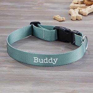 Pet Initials Personalized Dog Collar - Large-X-Large - 25532-L