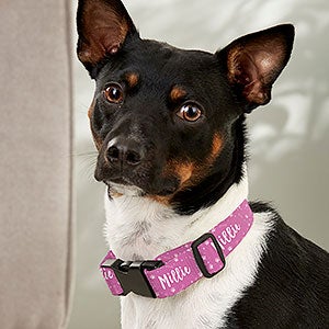 Puppy Pattern Personalized Dog Collar - Small-Medium - 30877