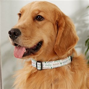 Pawfect Pet Personalized Dog Collar - Large/X-Large - 41432-L