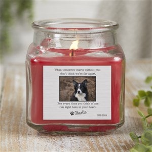 Pet Memorial Personalized 10 oz. Cinnamon Spice Candle Jar - 41634-10CS