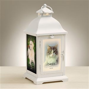 Photo Pet Memorial Personalized White Metal LED Lantern - 48447