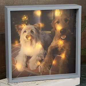 Personalized 10x10 Pet Photo LED Shadow Box