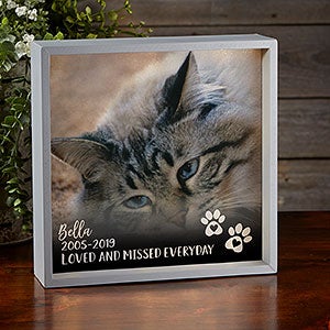 Pet Photo Memorial Personalized 10x10 Grey LED Shadow Box