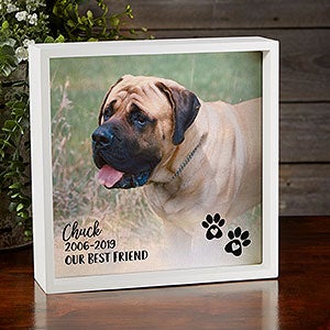 Pet Photo Memorial Personalized 10x10 Ivory LED Shadow Box