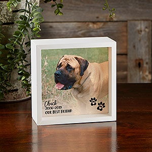 Pet Photo Memorial Personalized 6x6 Ivory LED Shadow Box