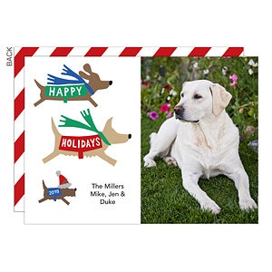 Happy Holidays Dogs Holiday Card - Set of 15