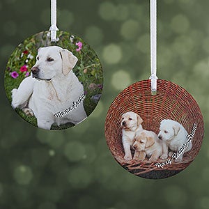 Pet Photo Memories Personalized Ornament - 2 Photos Glossy