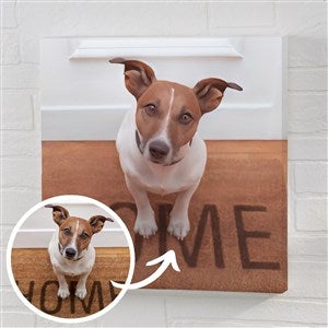 Cartoon Your Pet Portrait Personalized Photo Canvas - 16x16