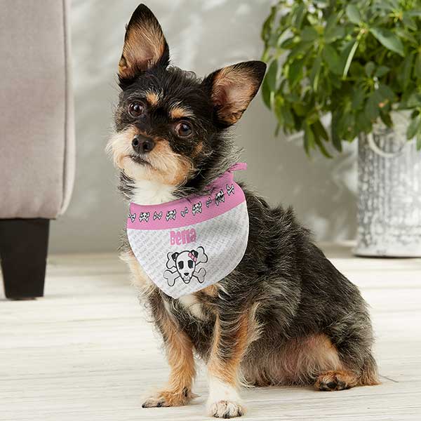 custom dog bandana collar