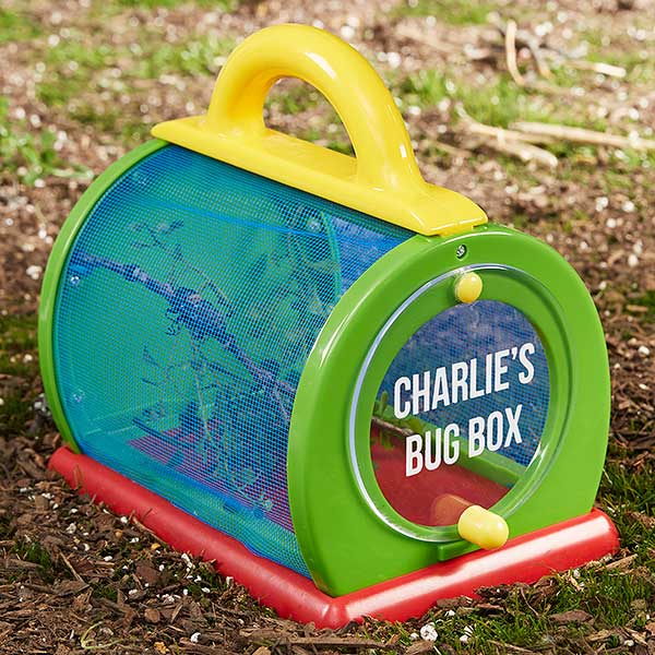 Personalized Bug Box Toy