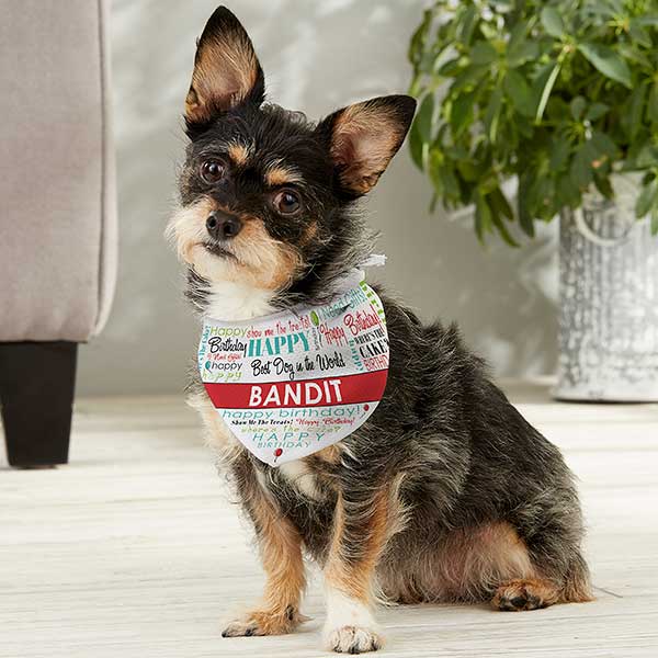 Personalized dog deals birthday bandana