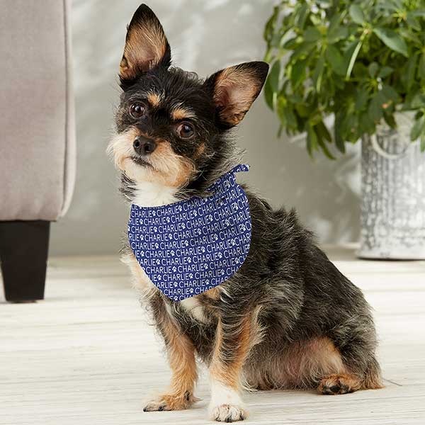 puppy with bandana