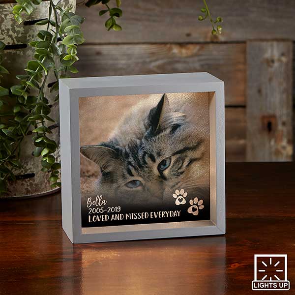 Pet Photo Memorial Personalized LED Shadow Box