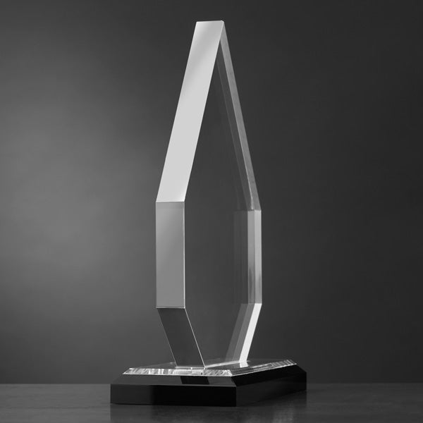 Medical Profession Personalized Diamond Award