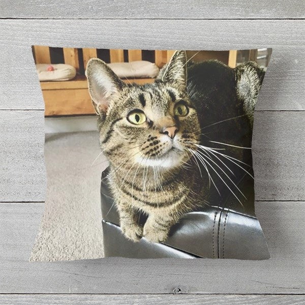 Personalized Pet Photo Pillows Pet Memories Small