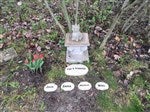Personalized Decorative Garden Stones - Large - For Her